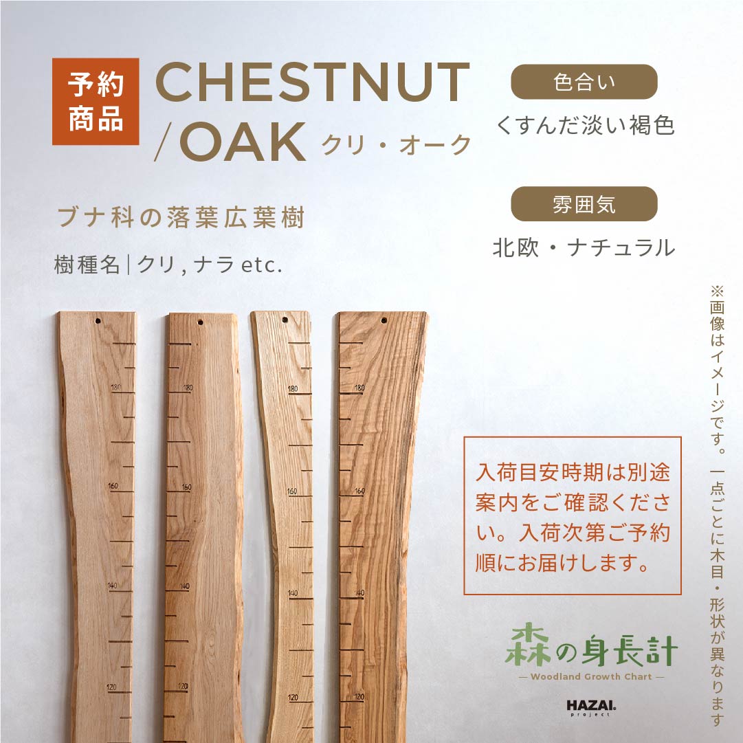 スタッフがセレクト｜ 森の身長計