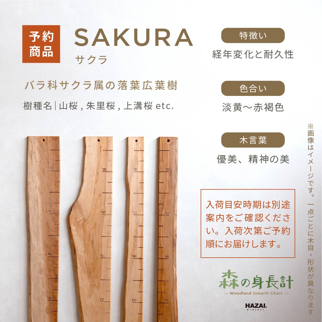 スタッフがセレクト｜ 森の身長計