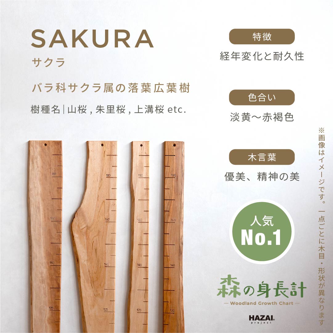 現地引取 アトリエ木馬 木製 身長計 森の身長計 SASAKI スタッフがセレクト｜ 森の身長計
