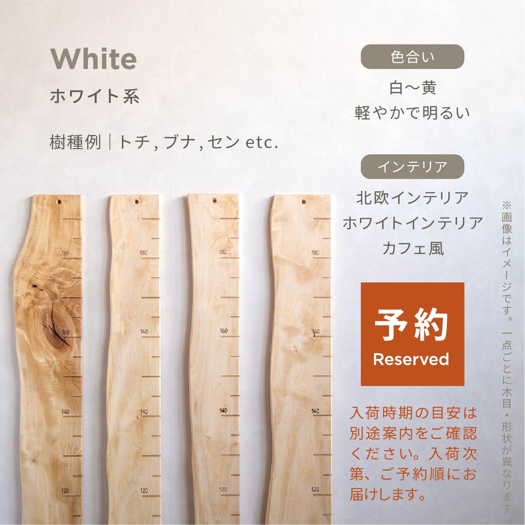 スタッフがセレクト｜ 森の身長計
