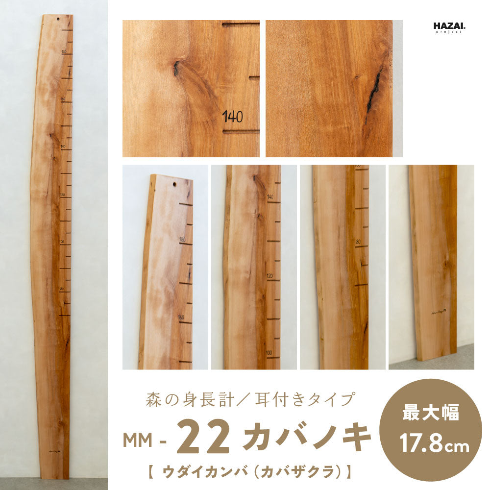 写真で木目が選べる１点モノ｜ 森の身長計
