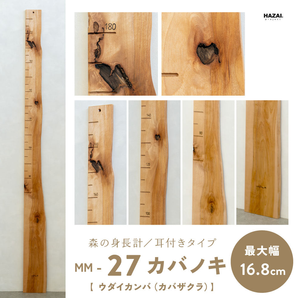 写真で木目が選べる１点モノ｜ 森の身長計