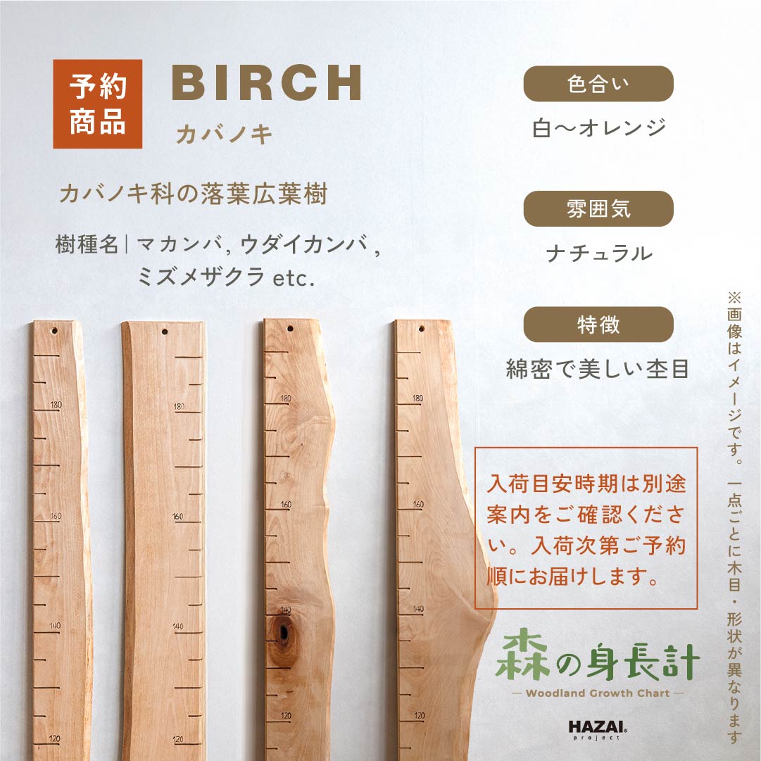 【耳付きご予約受付中】スタッフがセレクト｜ 森の身長計