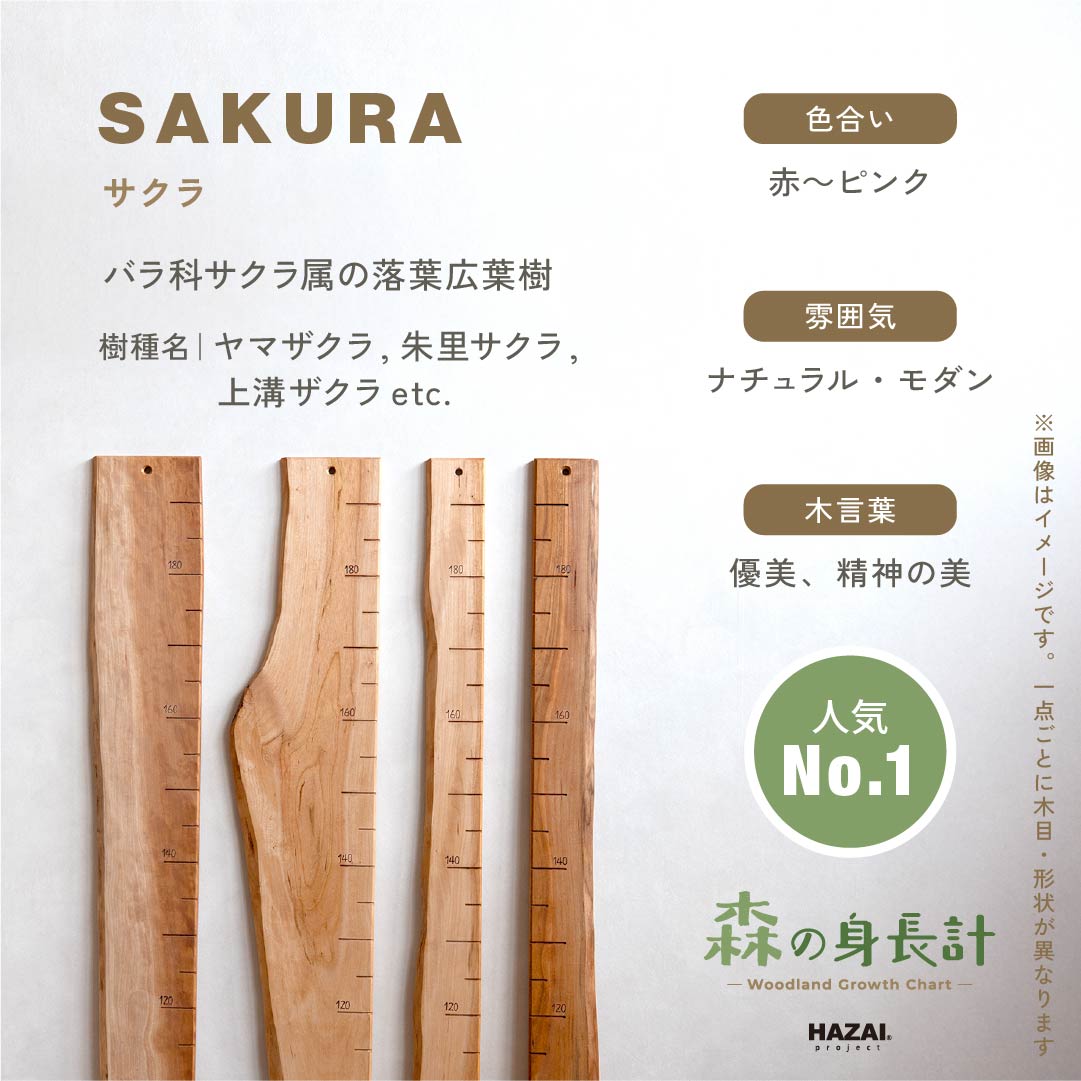 【耳付きご予約受付中】スタッフがセレクト｜ 森の身長計