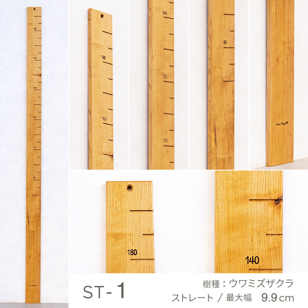 写真で選べる１点モノ｜ 森の身長計