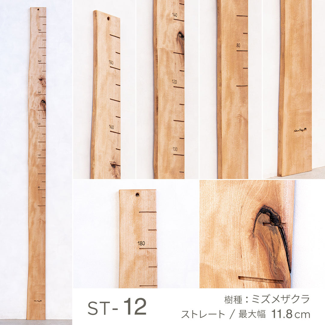写真で選べる１点モノ｜ 森の身長計