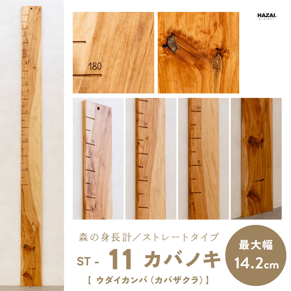 写真で木目が選べる１点モノ｜ 森の身長計