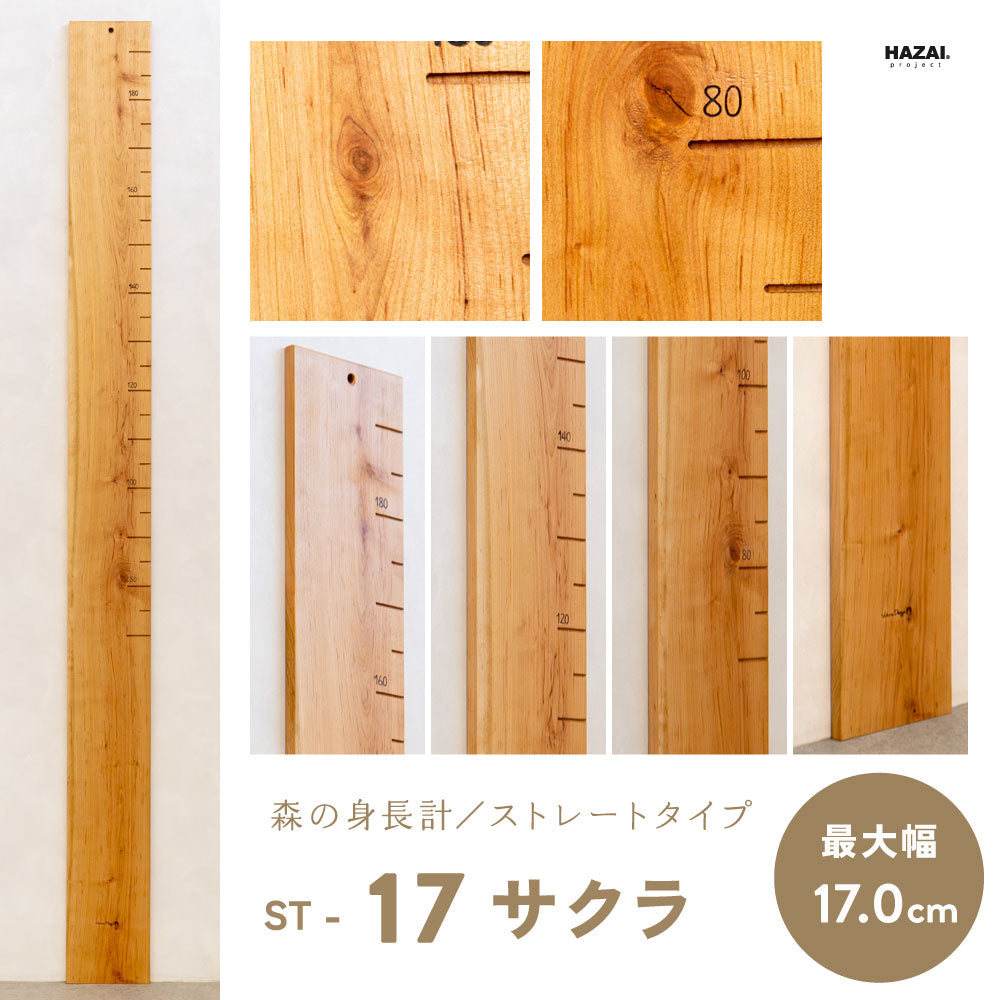 写真で木目が選べる１点モノ｜ 森の身長計