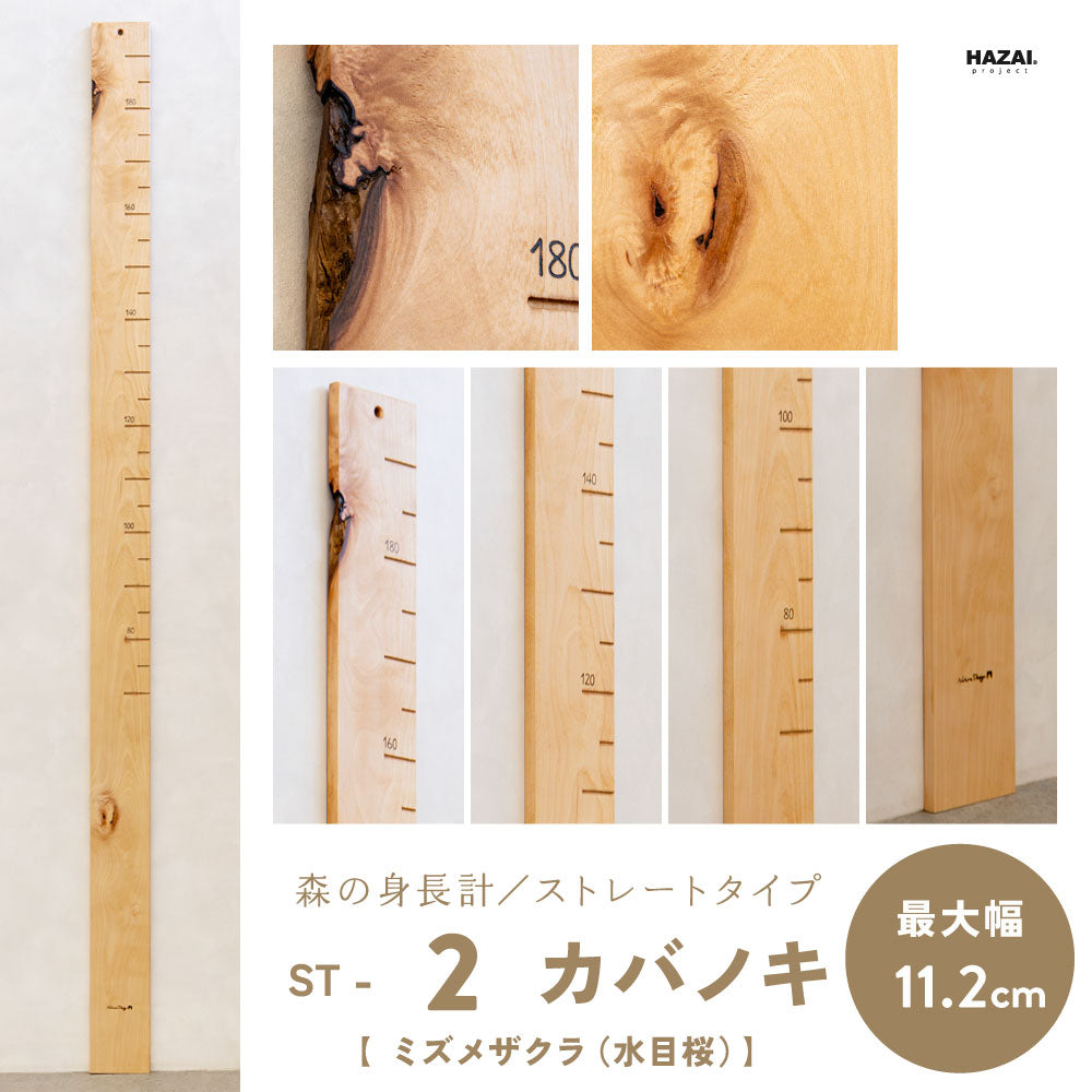 写真で木目が選べる１点モノ｜ 森の身長計