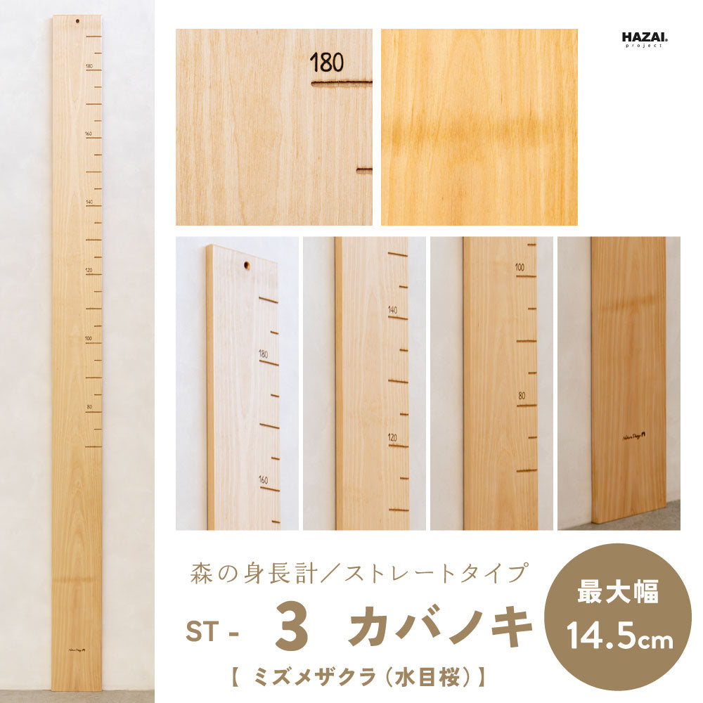 写真で木目が選べる１点モノ｜ 森の身長計