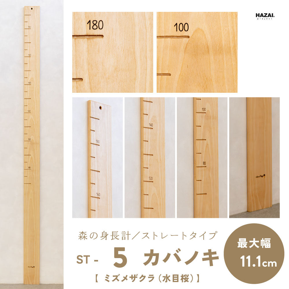 写真で木目が選べる１点モノ｜ 森の身長計