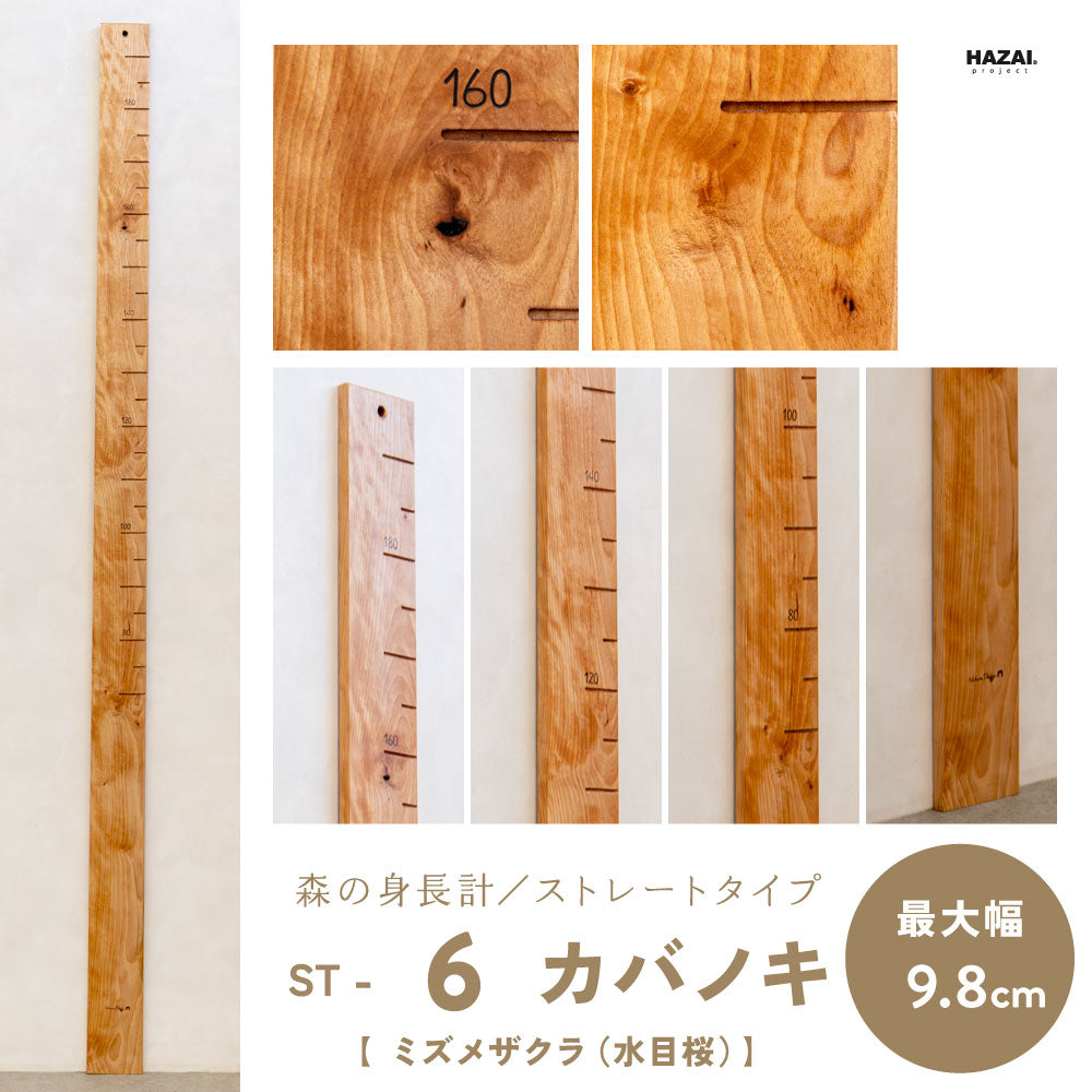 写真で木目が選べる１点モノ｜ 森の身長計