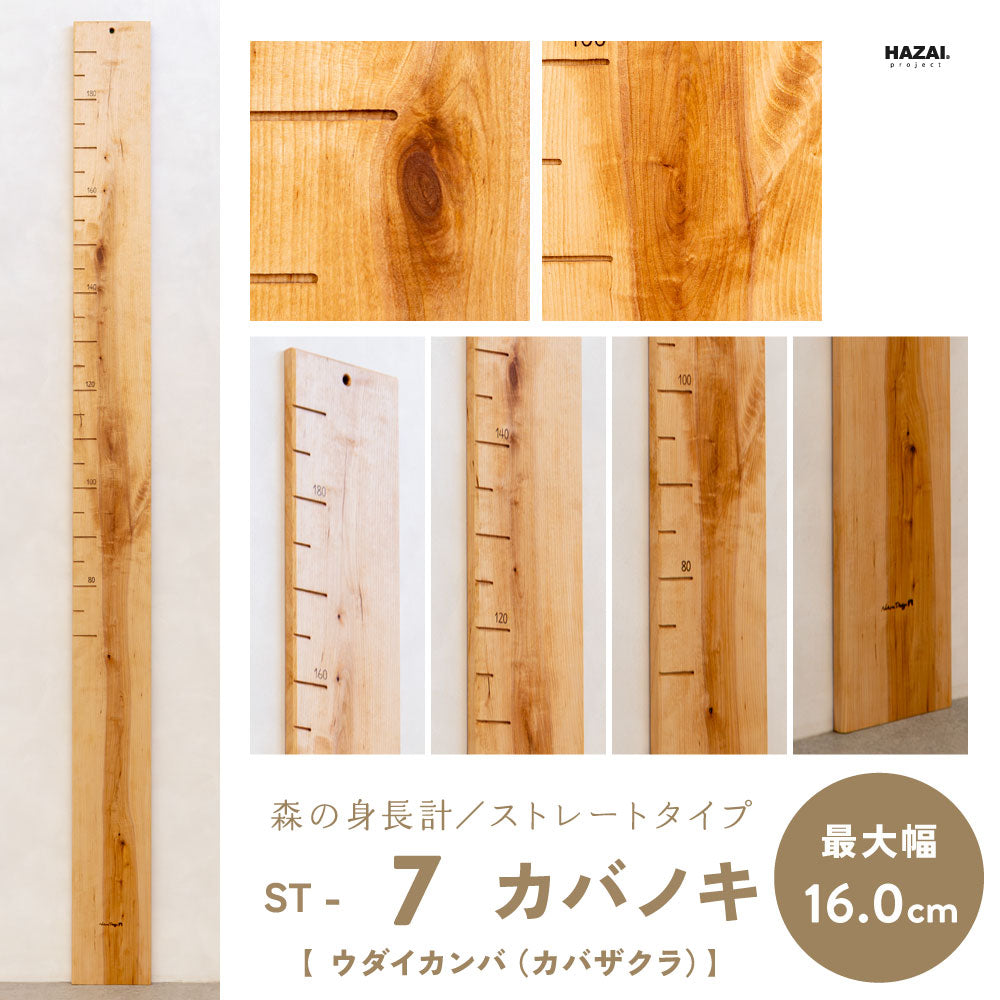 写真で木目が選べる１点モノ｜ 森の身長計