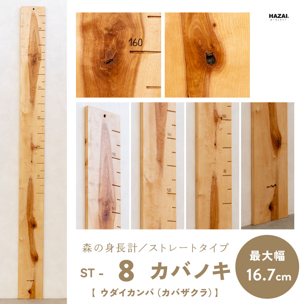 写真で木目が選べる１点モノ｜ 森の身長計