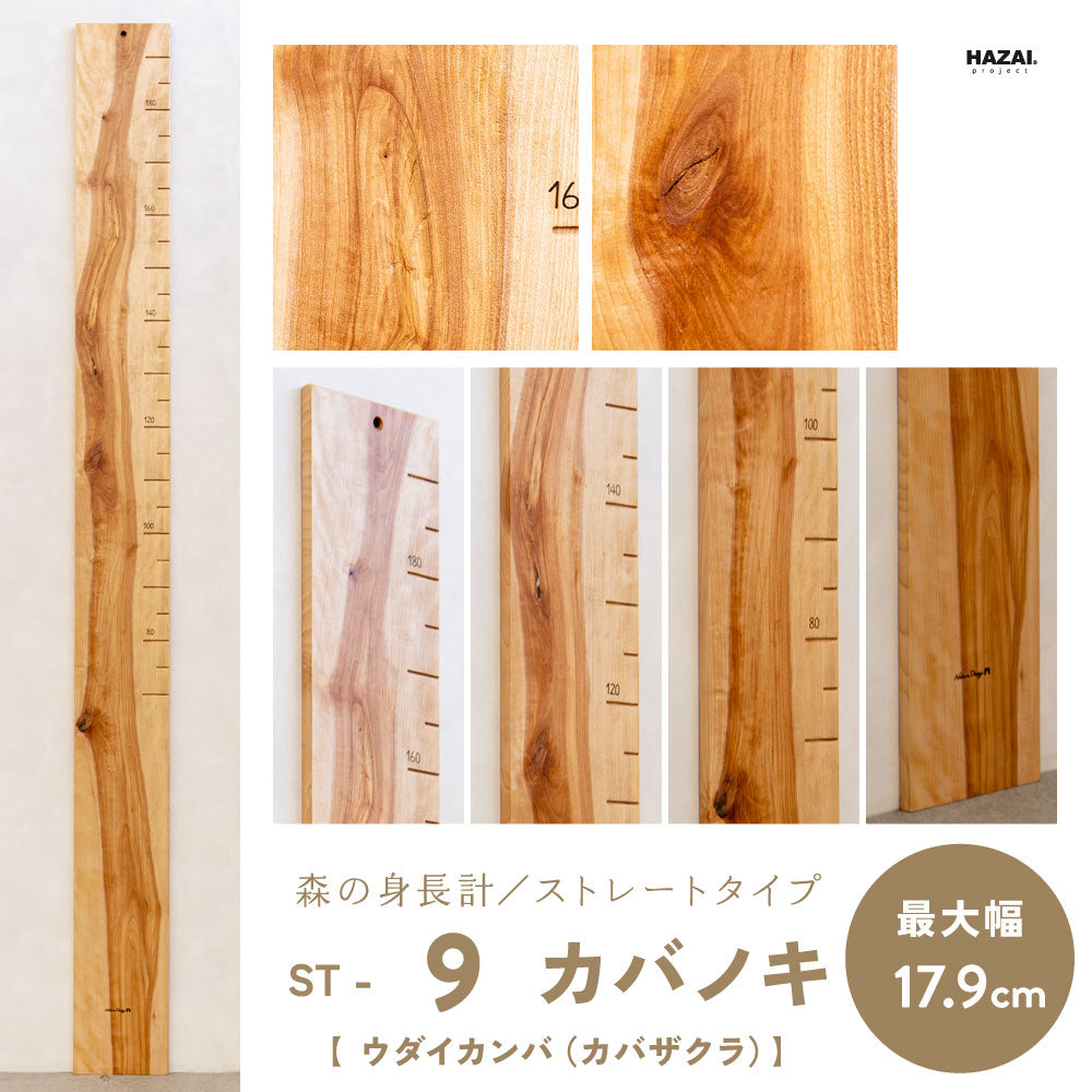 写真で木目が選べる１点モノ｜ 森の身長計