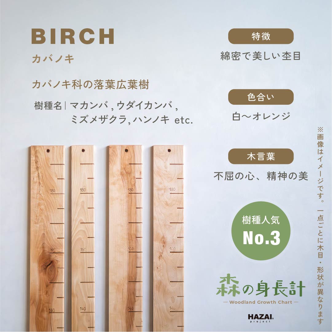 【耳付きご予約受付中】スタッフがセレクト｜ 森の身長計