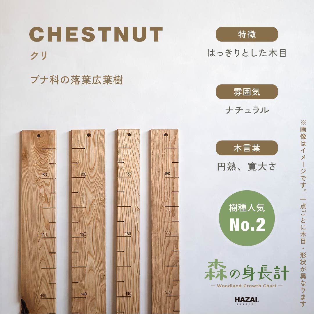 【耳付きご予約受付中】スタッフがセレクト｜ 森の身長計