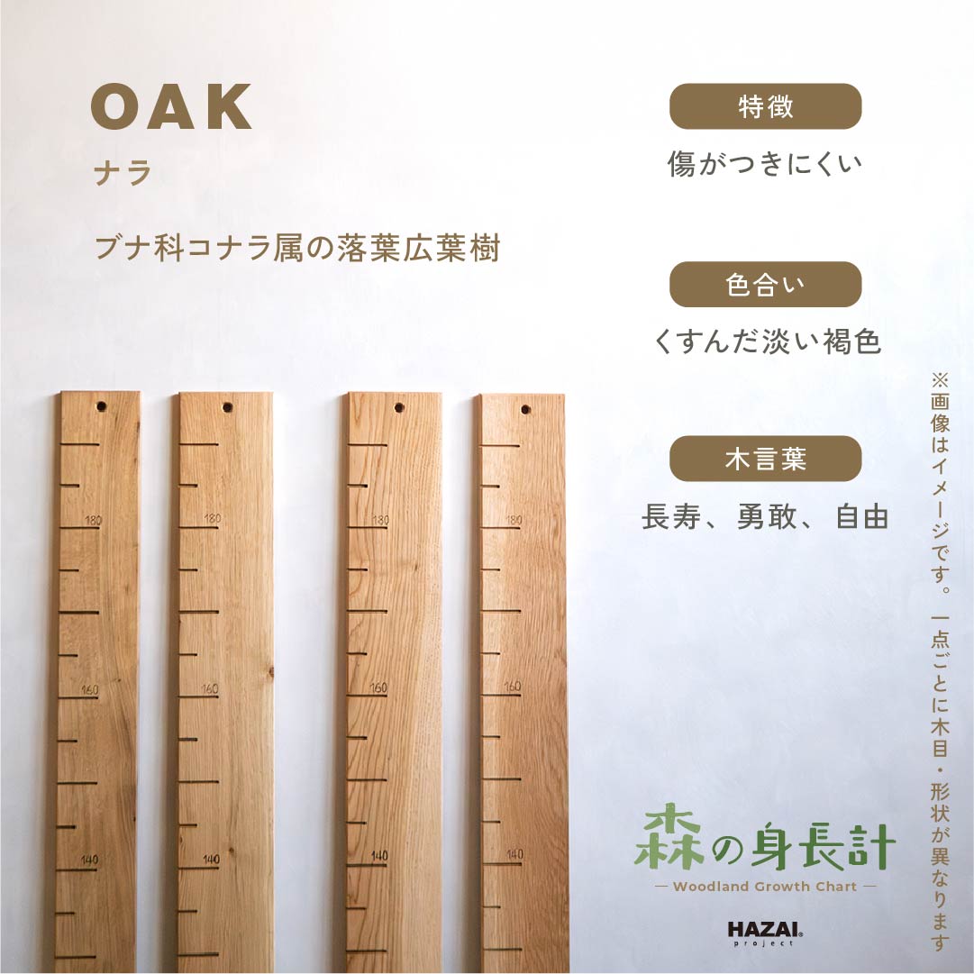 【耳付きご予約受付中】スタッフがセレクト｜ 森の身長計