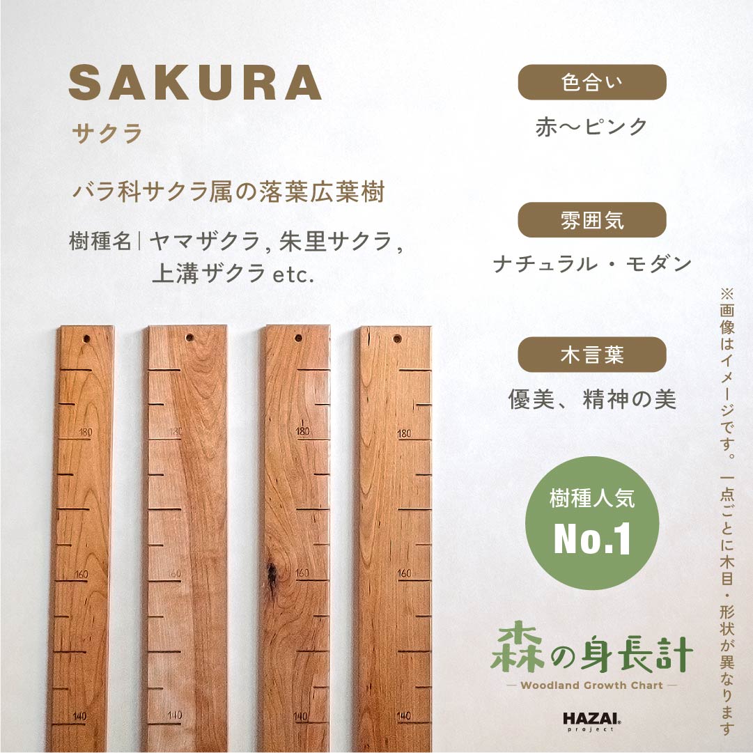 【耳付きご予約受付中】スタッフがセレクト｜ 森の身長計