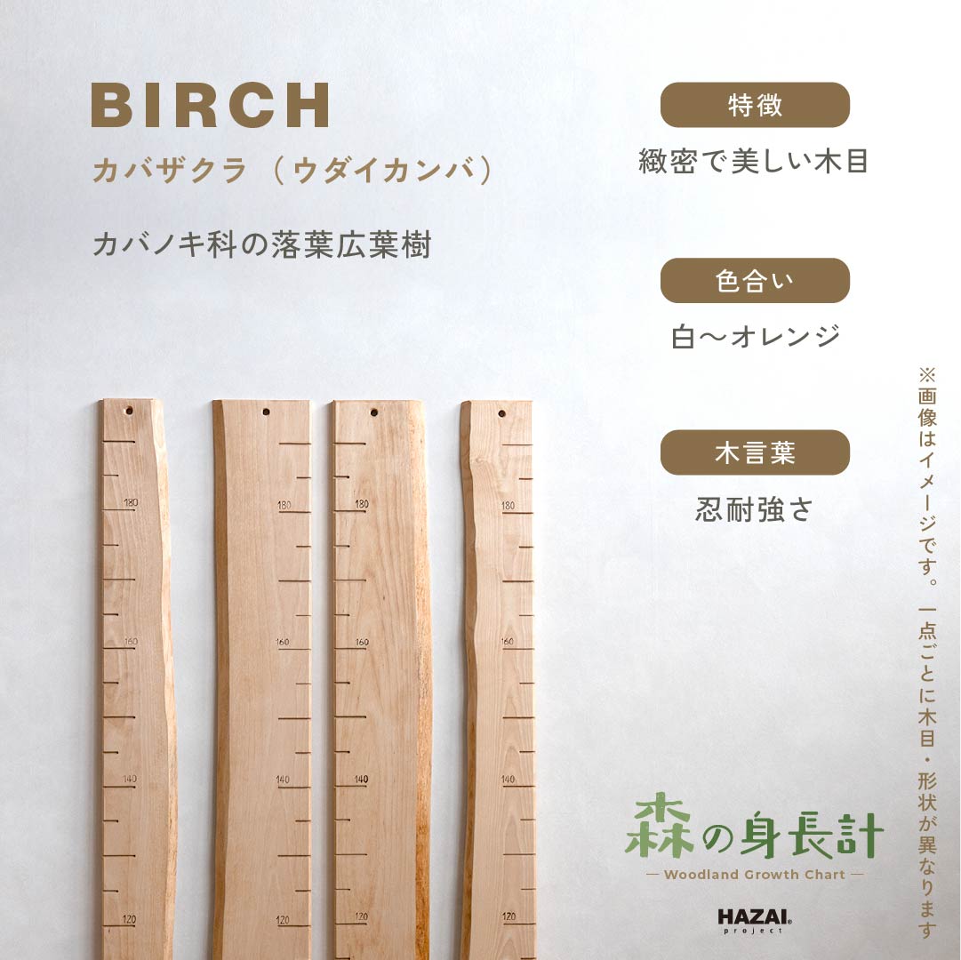 スタッフがセレクト｜ 森の身長計
