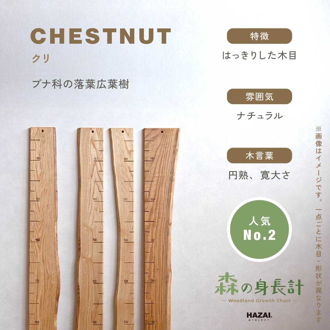 スタッフがセレクト｜ 森の身長計