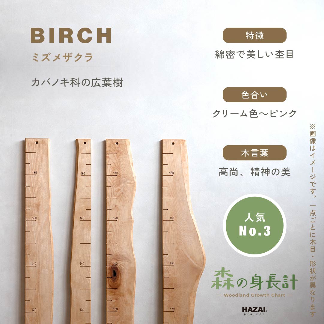 スタッフがセレクト｜ 森の身長計