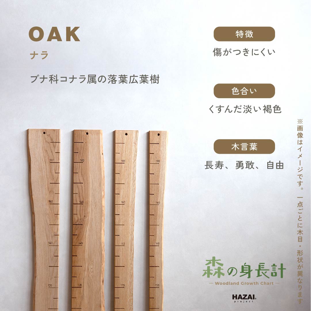 スタッフがセレクト｜ 森の身長計