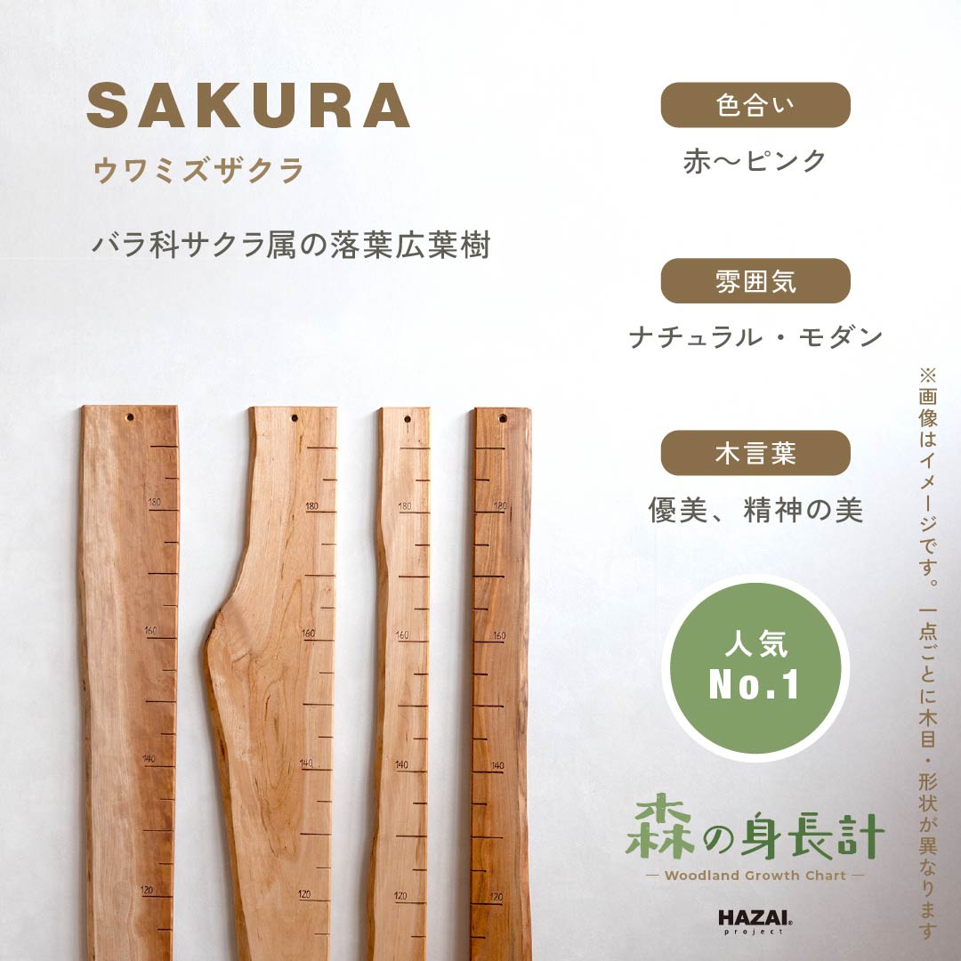 スタッフがセレクト｜ 森の身長計