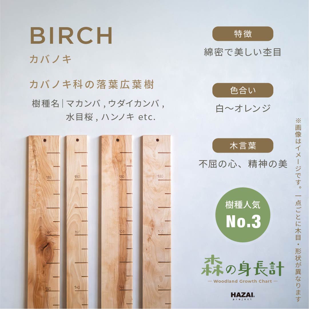 スタッフがセレクト｜ 森の身長計