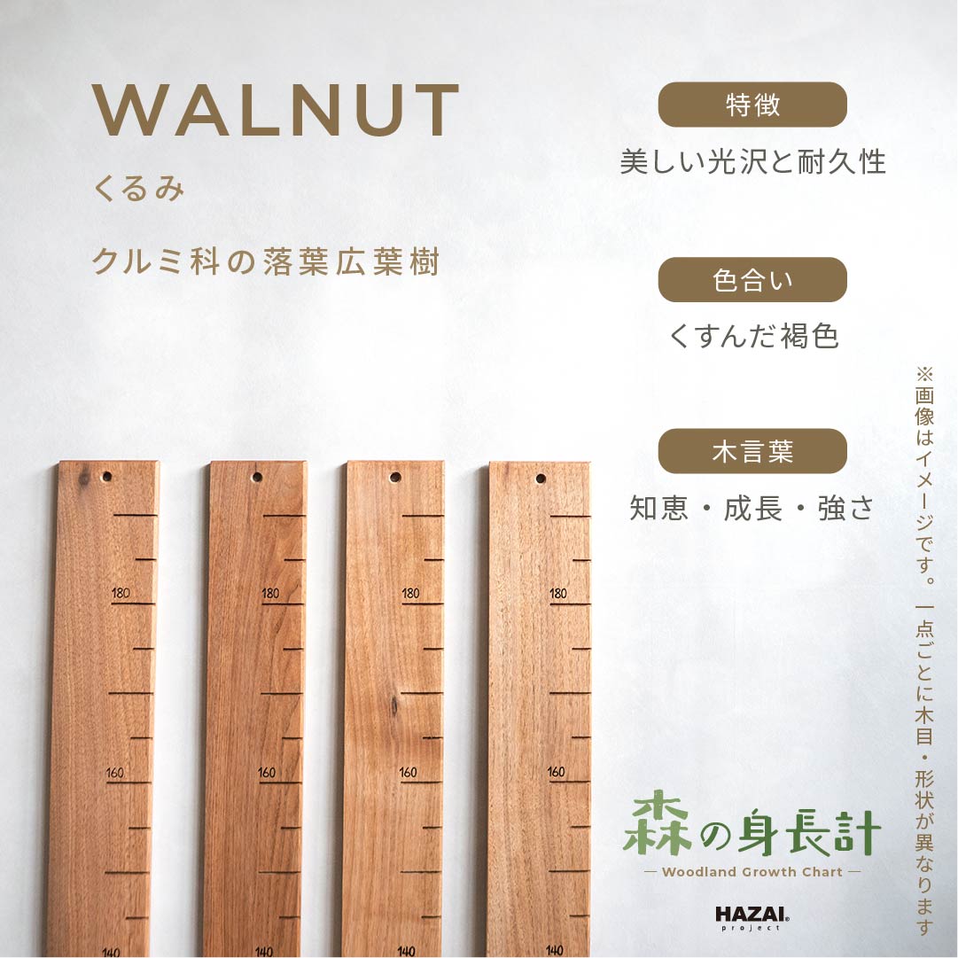 スタッフがセレクト｜ 森の身長計