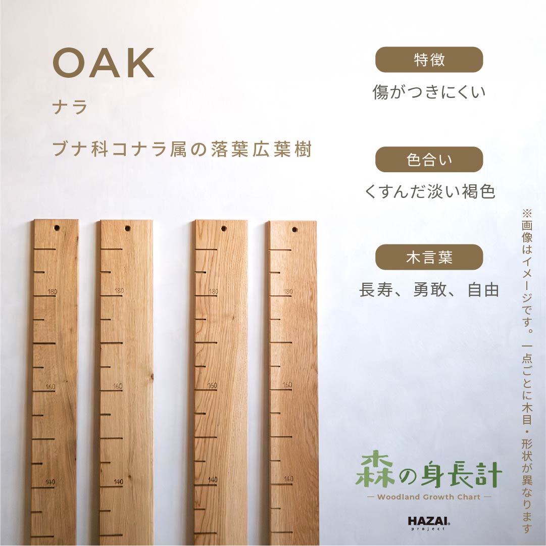 スタッフがセレクト｜ 森の身長計