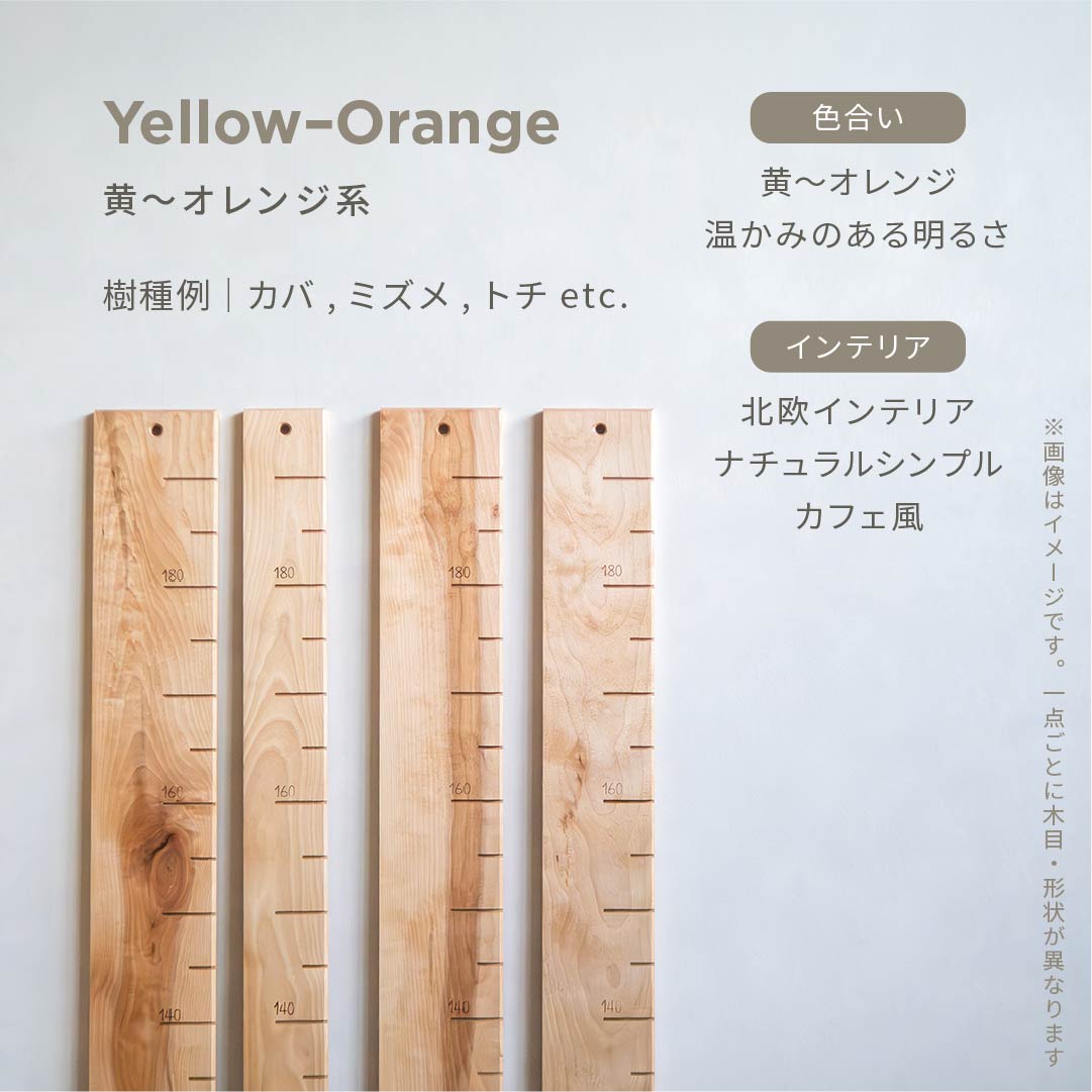 スタッフがセレクト｜ 森の身長計