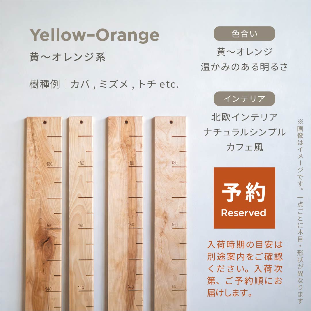 スタッフがセレクト｜ 森の身長計