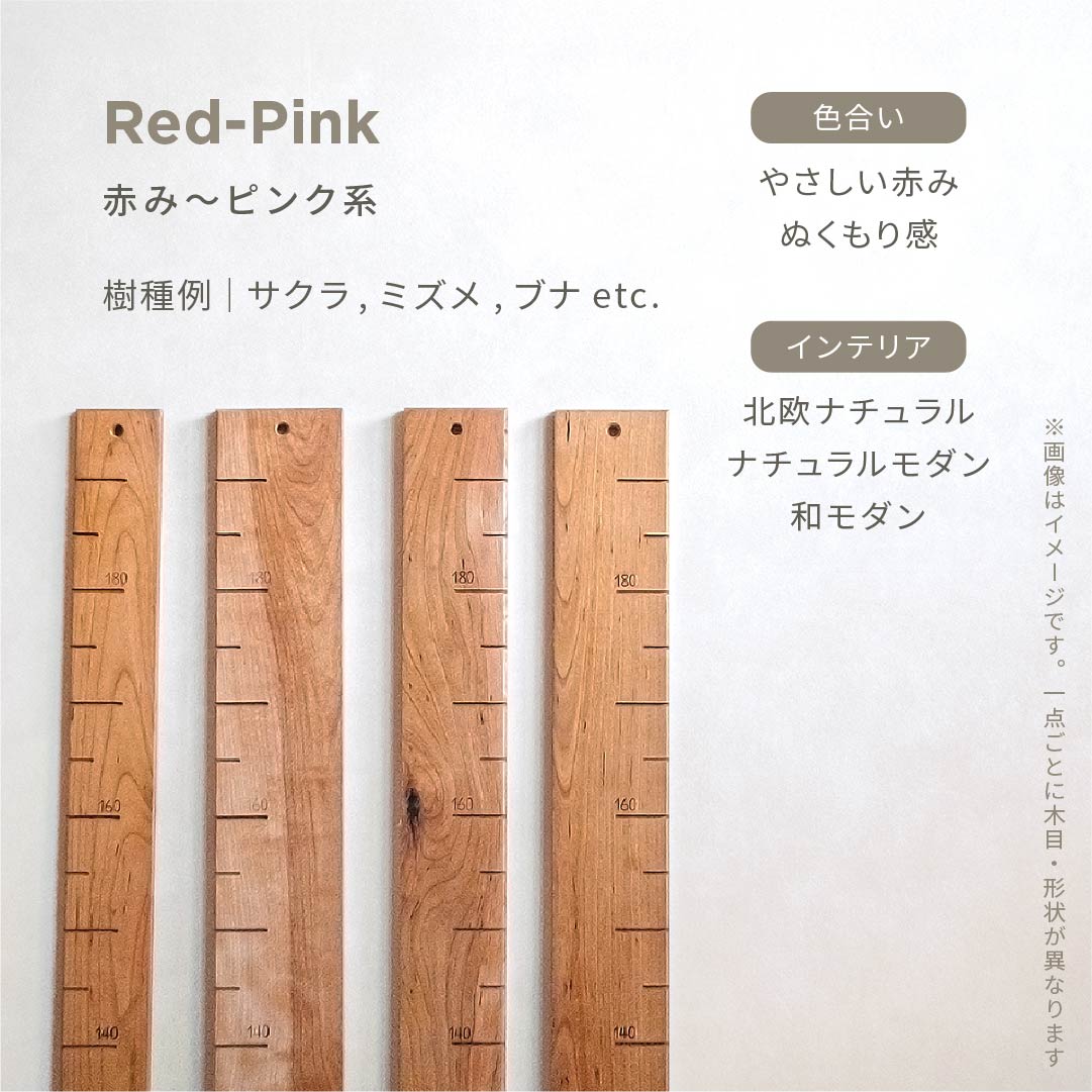 スタッフがセレクト｜ 森の身長計