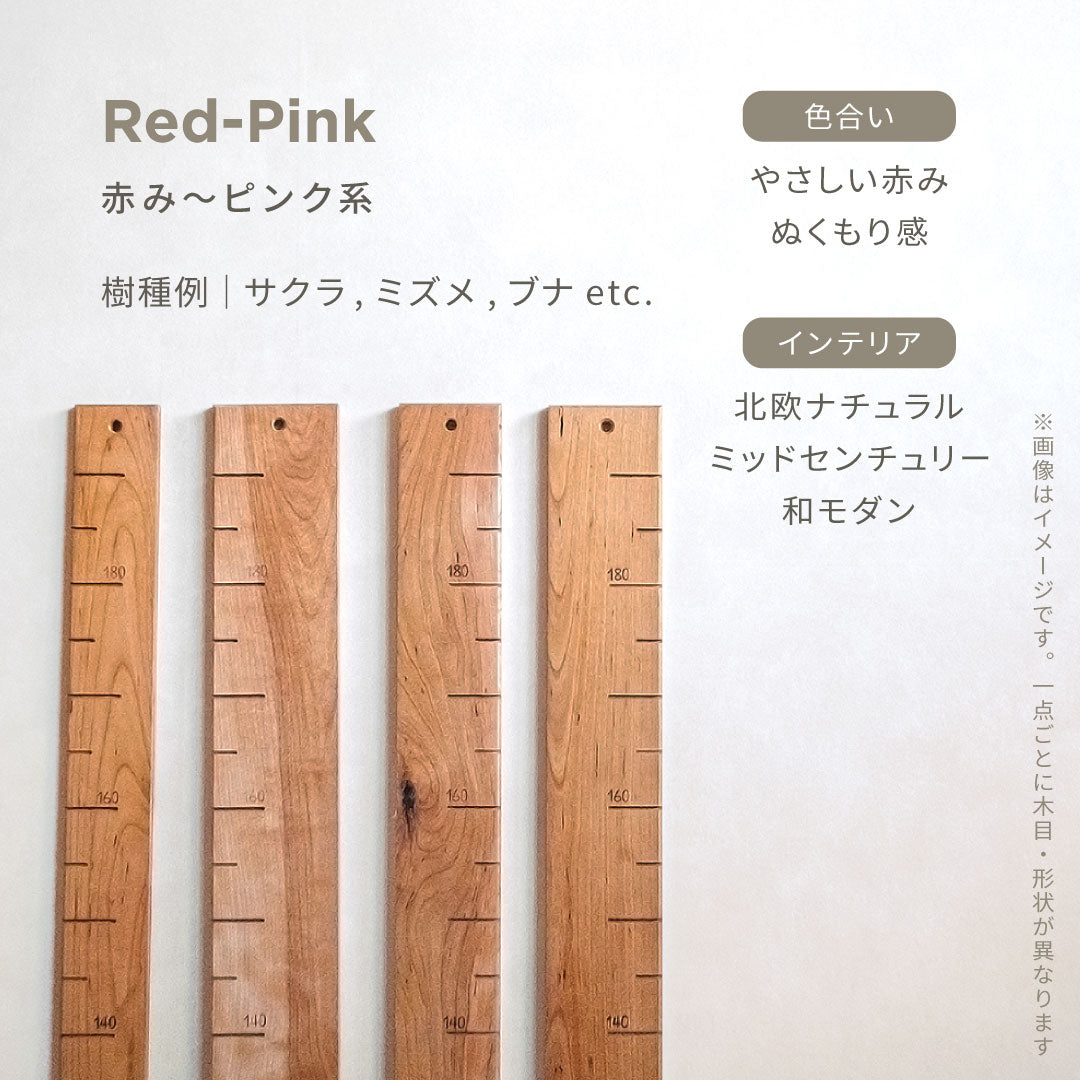 スタッフがセレクト｜ 森の身長計