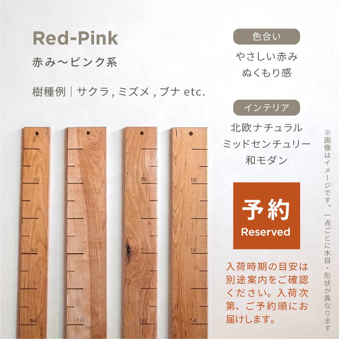 スタッフがセレクト｜ 森の身長計