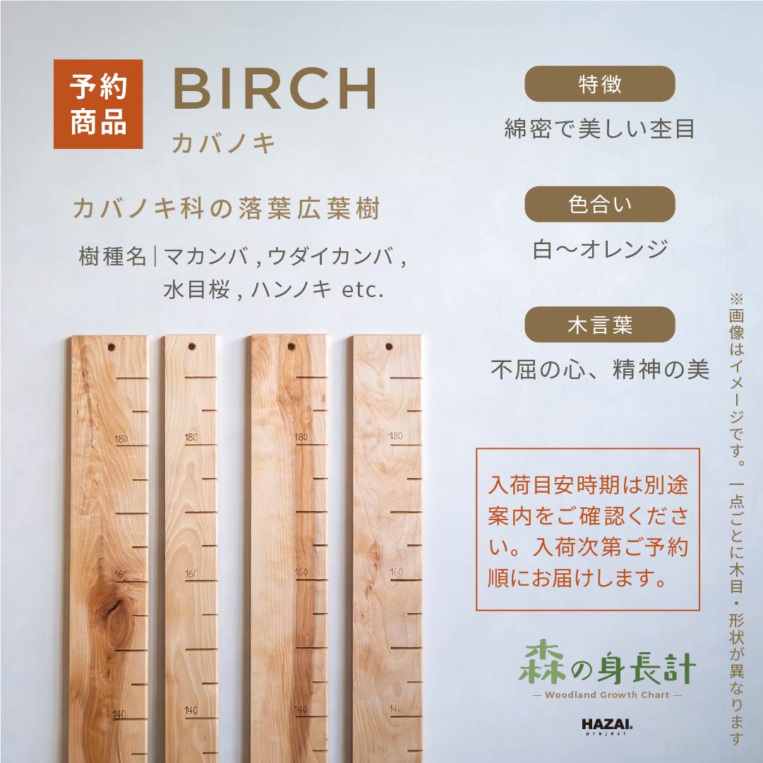 スタッフがセレクト｜ 森の身長計