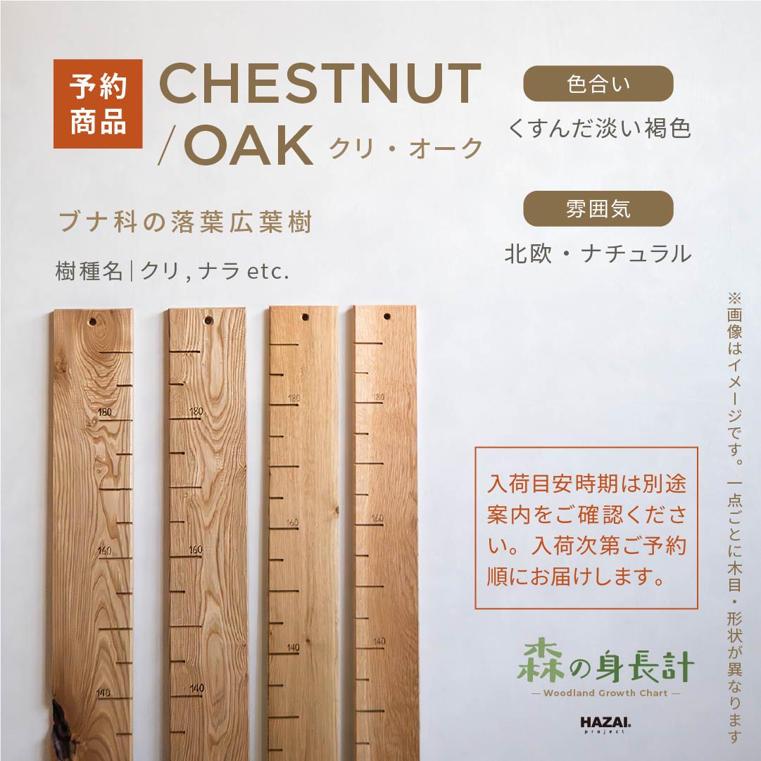 スタッフがセレクト｜ 森の身長計