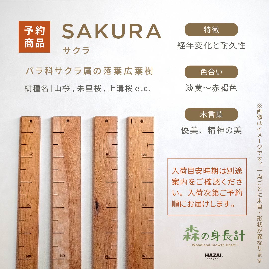 スタッフがセレクト｜ 森の身長計