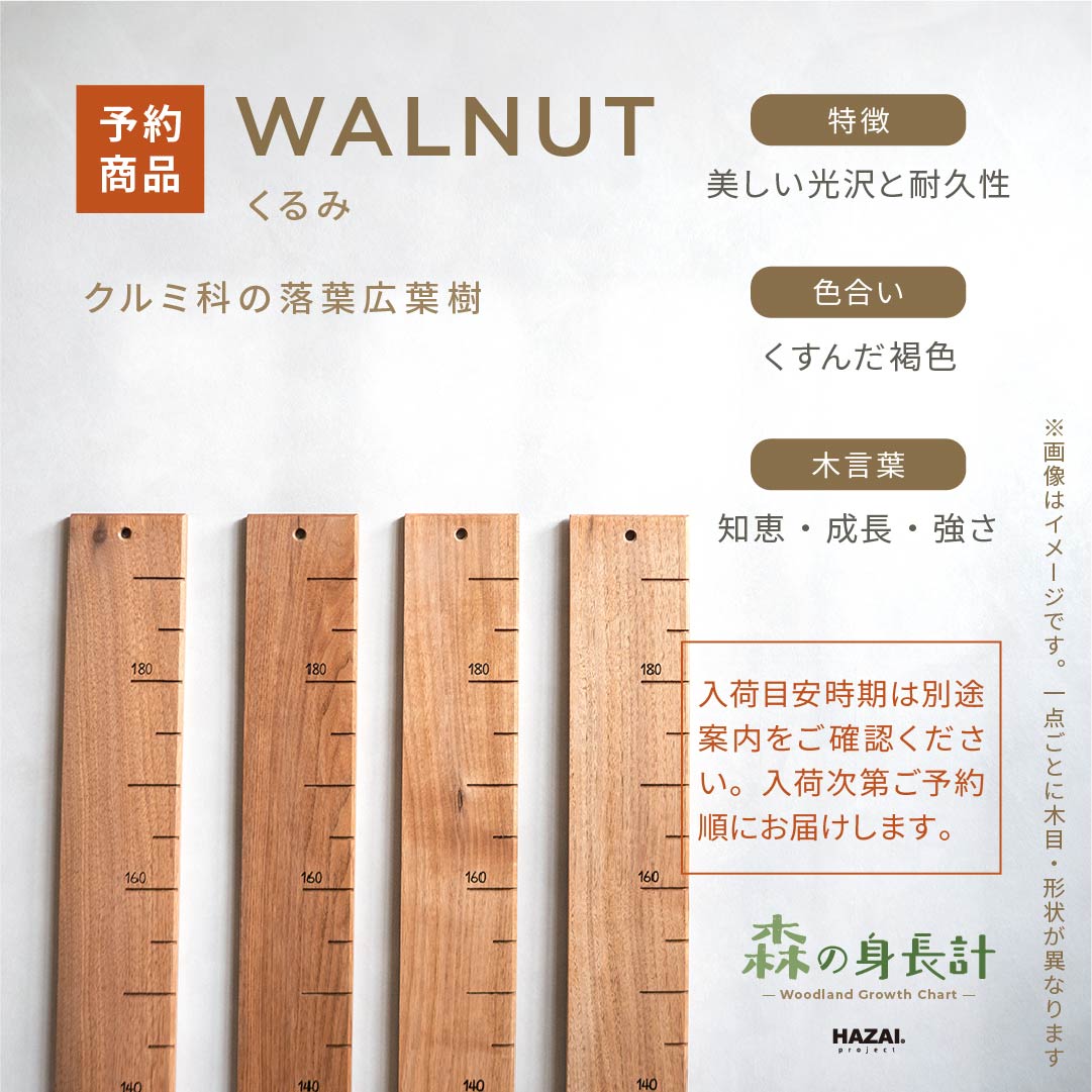 スタッフがセレクト｜ 森の身長計