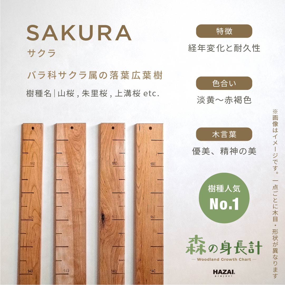 スタッフがセレクト｜ 森の身長計