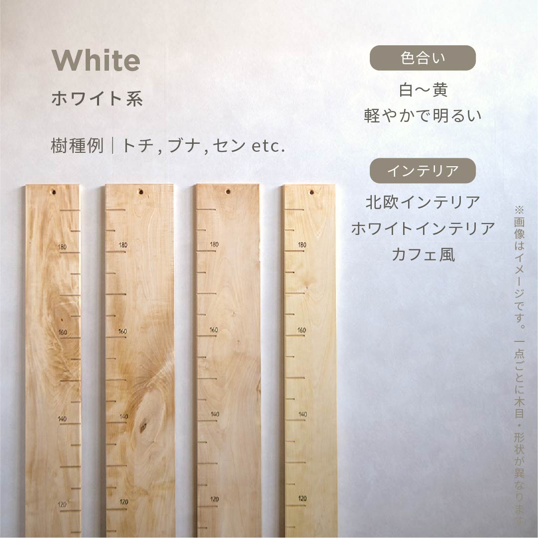 スタッフがセレクト｜ 森の身長計