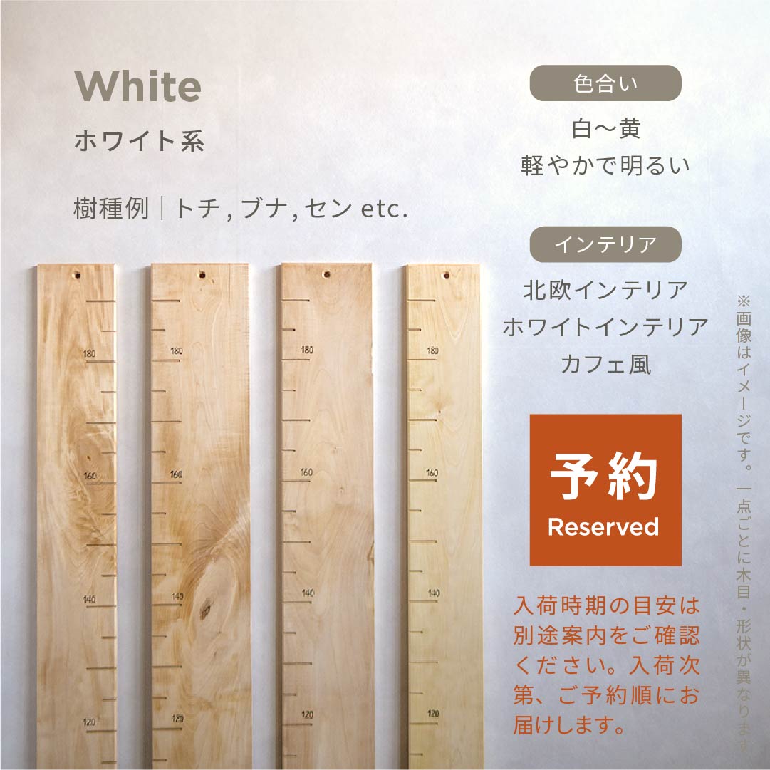 スタッフがセレクト｜ 森の身長計