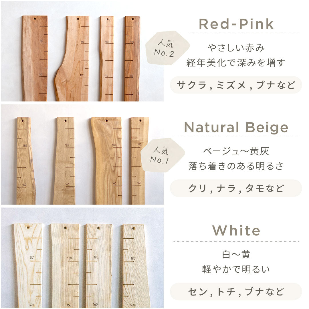 スタッフがセレクト｜ 森の身長計