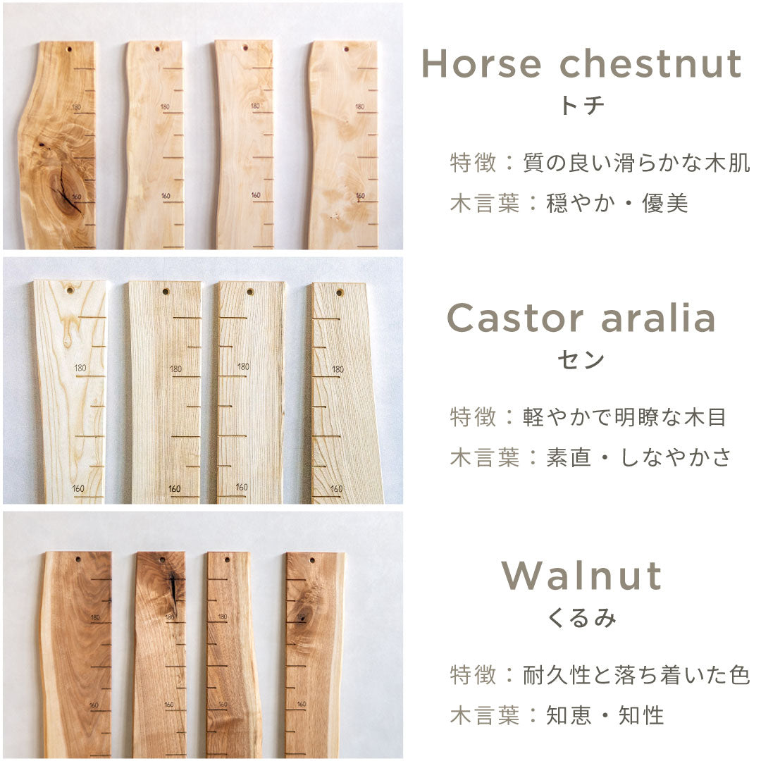 写真で選べる１点モノ｜ 森の身長計