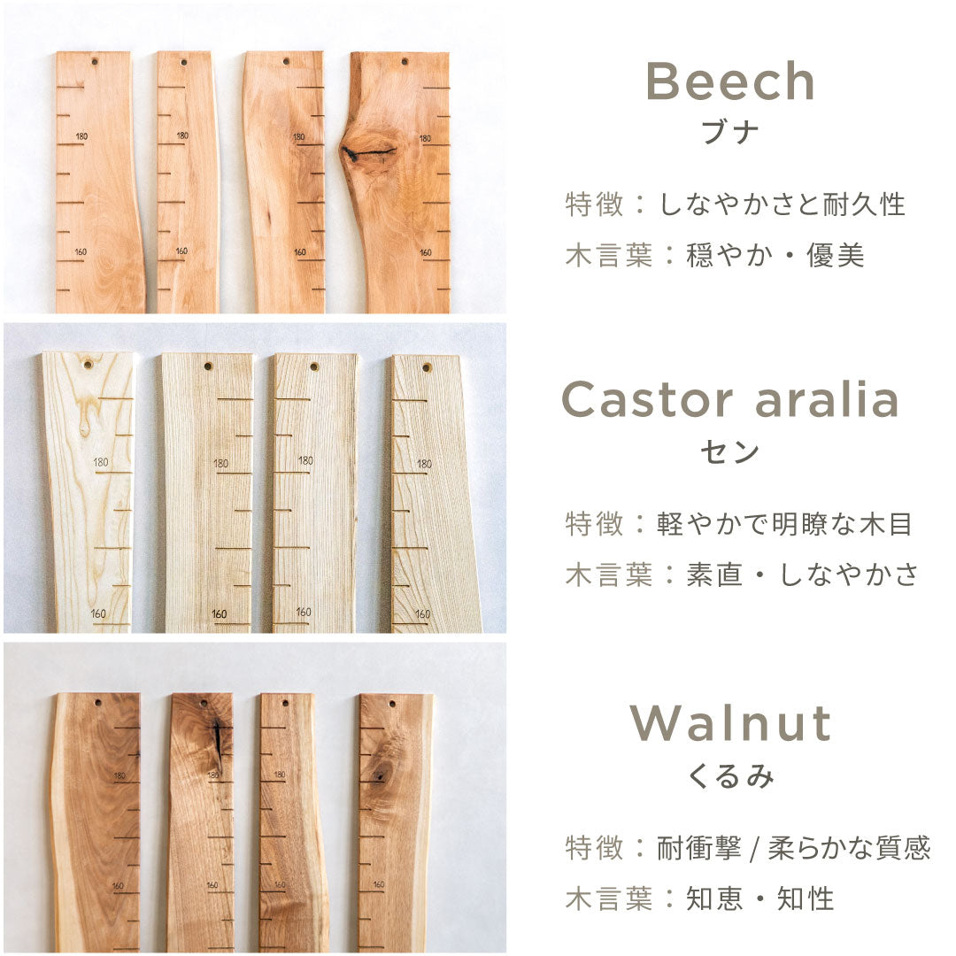 写真で選べる１点モノ｜ 森の身長計